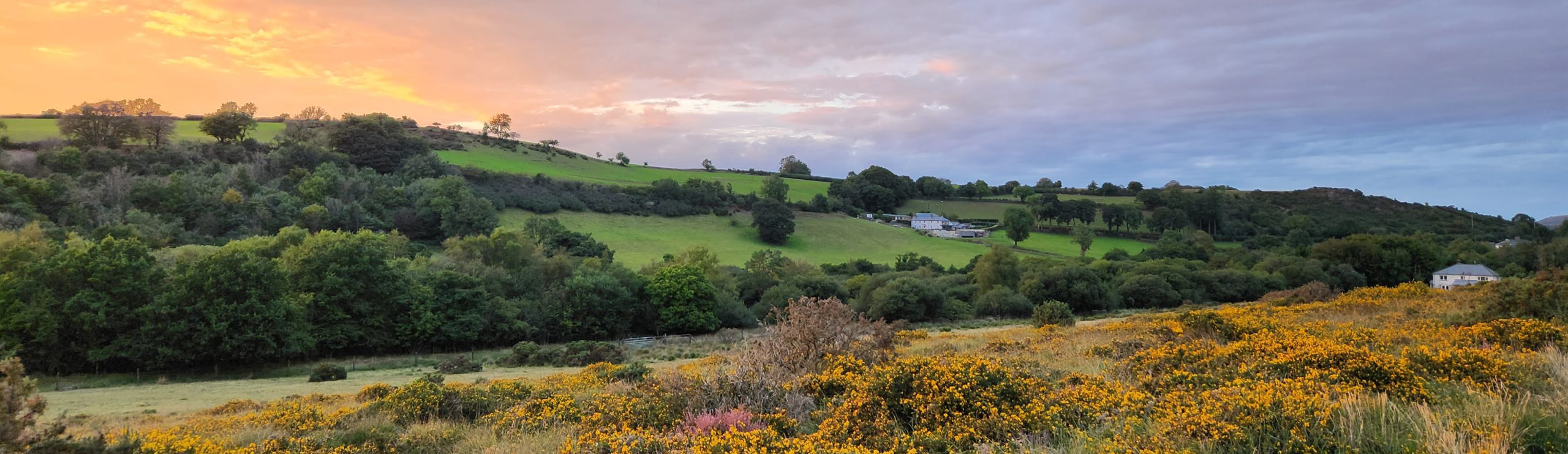 Image of a white cottage in the middle of colourful moorland at dusk